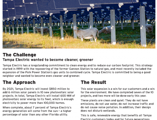 Tampa Electric wanted to become cleaner, greener
